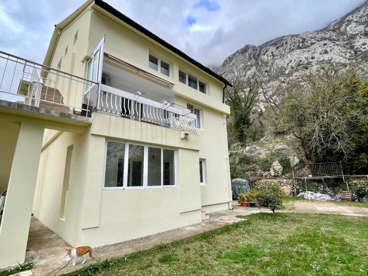 Apartments Lav Kotor Ngoại thất bức ảnh