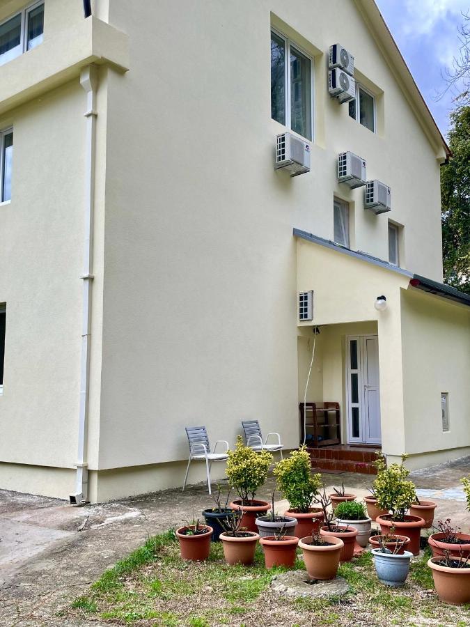 Apartments Lav Kotor Ngoại thất bức ảnh